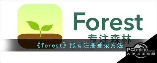 forest账号注册登录方法