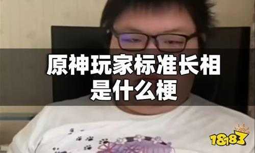 原神玩家标准长相是什么梗 原神玩家标准长相梗百科