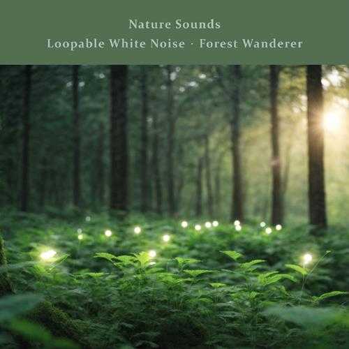 贵族音乐《大自然声息 白噪音不间断 森林的梦游者》[FLAC/分轨][218.26MB]