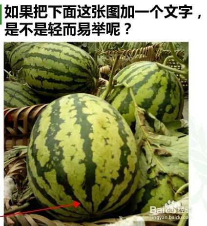 PS如何批量处理照片?ps批处理功能介绍