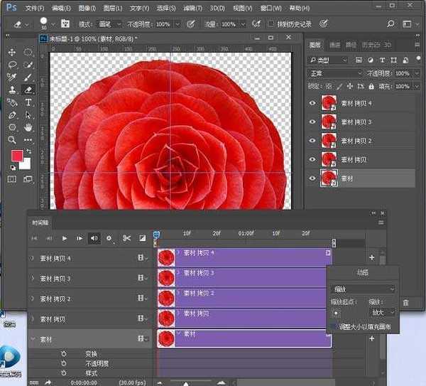 Photoshop制作创意的红色花朵开放gif动画效果教程